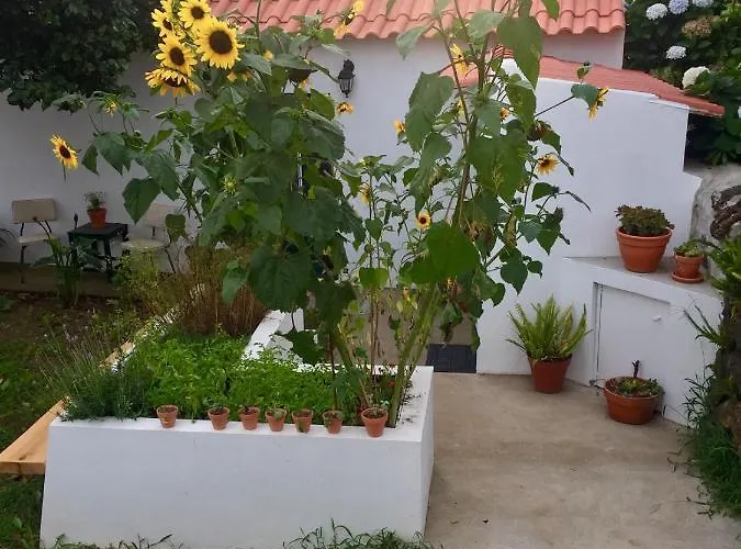 The Azores Homestead - Terceira 3* Santa Barbara (Sao Miguel)