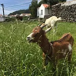 Pensionat The Azores Homestead - Terceira