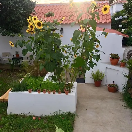 The Azores Homestead - Terceira 3* Santa Barbara (Sao Miguel)