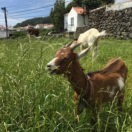 Konukevi The Azores Homestead - Terceira